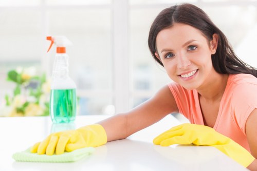 Professional oven cleaning in a Dulwich kitchen