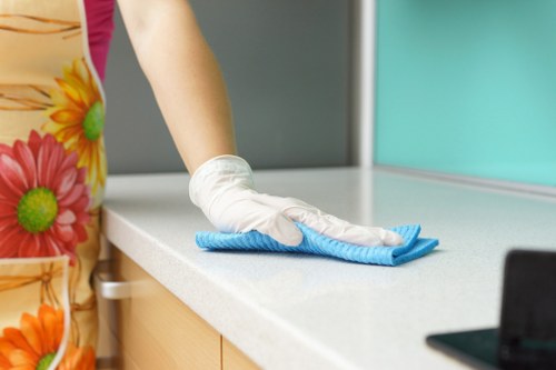 Professional house cleaning in a Dulwich living room