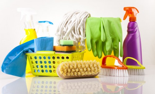 Professional cleaner in Dulwich providing home cleaning support