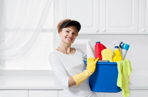 Professional carpet cleaning service on a domestic floor