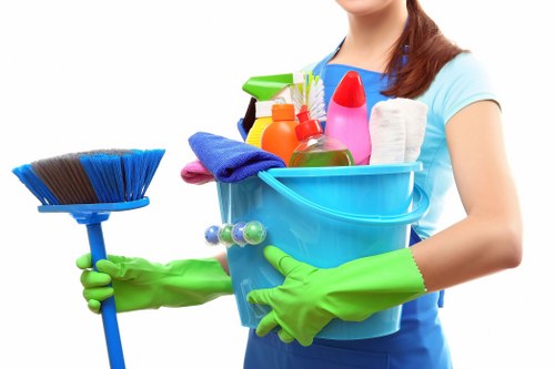 Professional carpet cleaning in a Dulwich living room