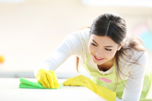 Kitchen cleaning service in a Dulwich home