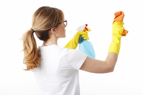Stain removal and carpet care in Dulwich property