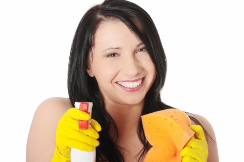 Local sofa cleaning service restoring a living room sofa