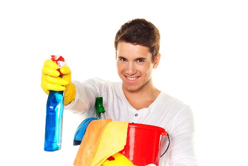 Deep cleaning oven shelves and trays in Dulwich