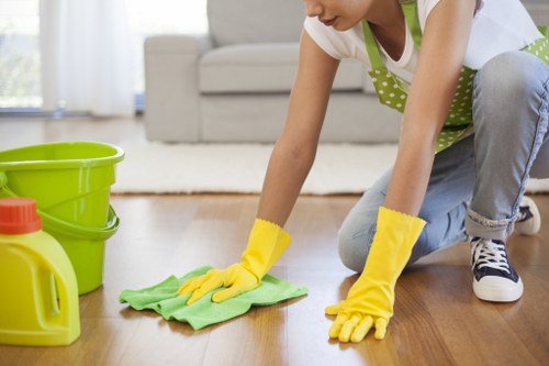 Packaging and waste sorting for carpet cleaning in Dulwich